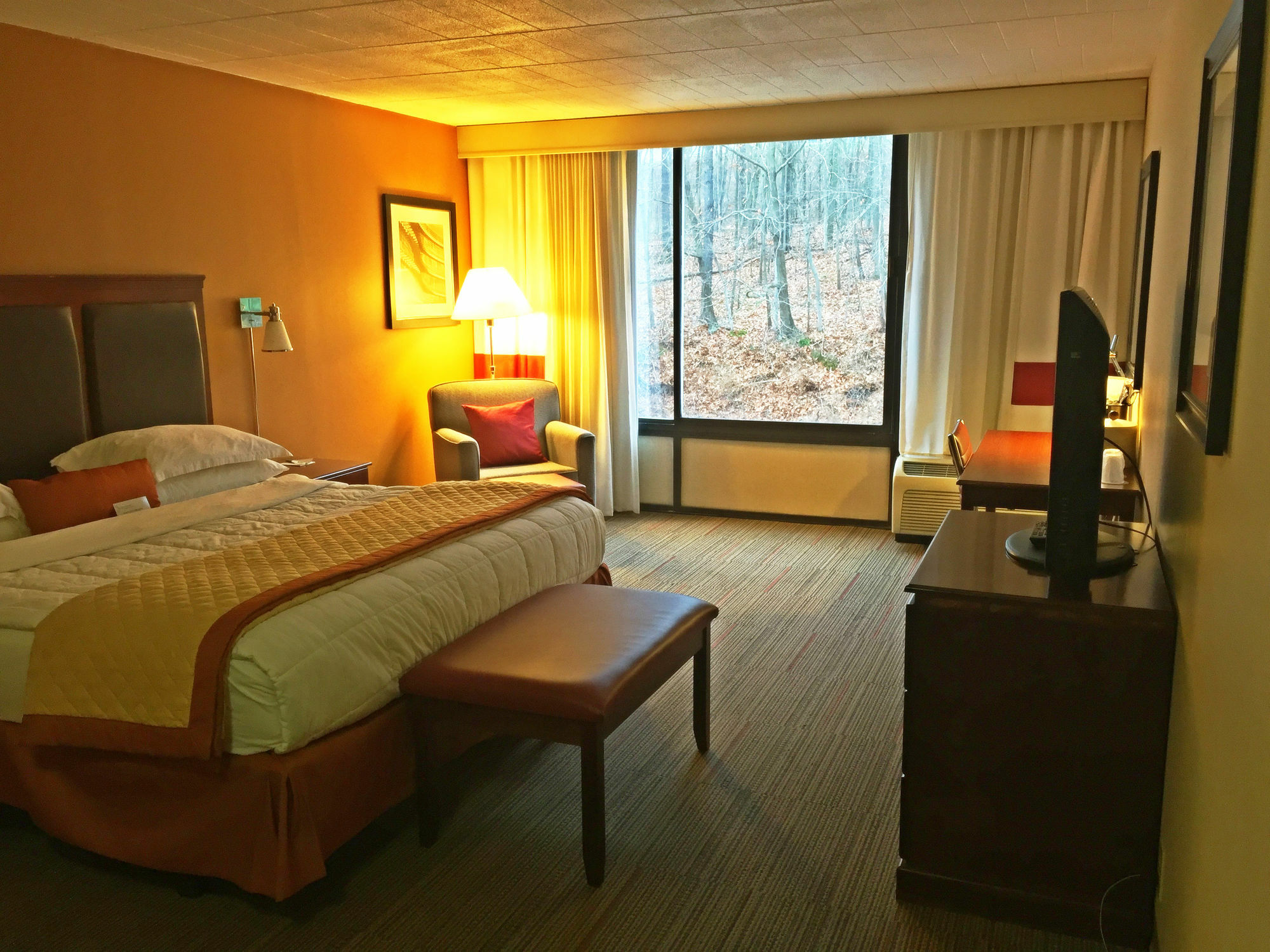 Wyndham Garden Inn Pittsburgh Airport Robinson Township Dış mekan fotoğraf